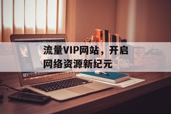 流量VIP网站，开启网络资源新纪元