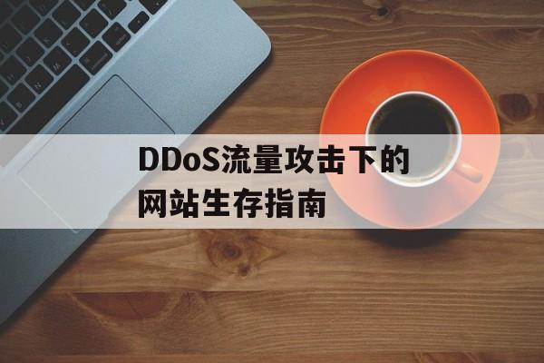 DDoS流量攻击下的网站生存指南