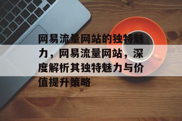 网易流量网站的独特魅力，网易流量网站，深度解析其独特魅力与价值提升策略