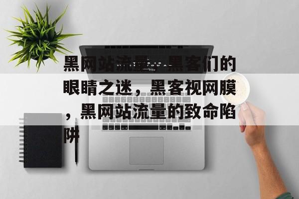 黑网站流量,黑客们的眼睛之迷,黑客视网膜,黑网站流量的致命陷阱 黑网站流量,黑客们的眼睛之迷,黑客视网膜,黑网站流量的致命陷阱