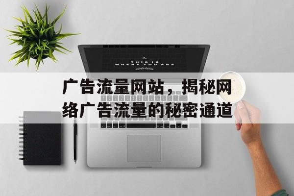 广告流量网站,揭秘网络广告流量的秘密通道 广告流量网站,揭秘网络广告流量的秘密通道
