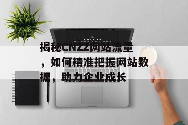 揭秘CNZZ网站流量,如何精准把握网站数据,助力企业成长 揭秘CNZZ网站流量,如何精准把握网站数据,助力企业成长