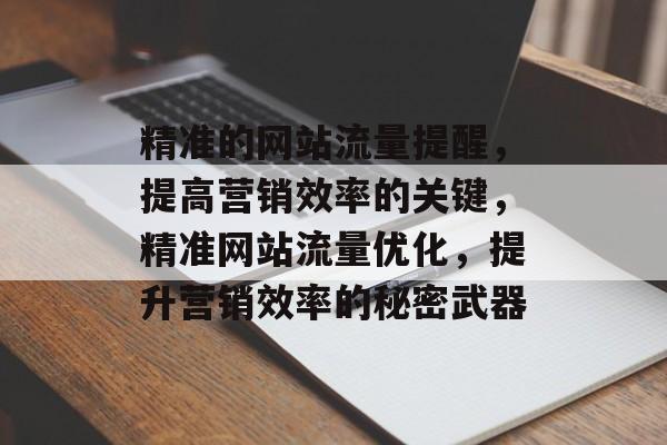 精准的网站流量提醒,提高营销效率的关键,精准网站流量优化,提升营销效率的秘密武器 精准的网站流量提醒,提高营销效率的关键,精准网站流量优化,提升营销效率的秘密武器