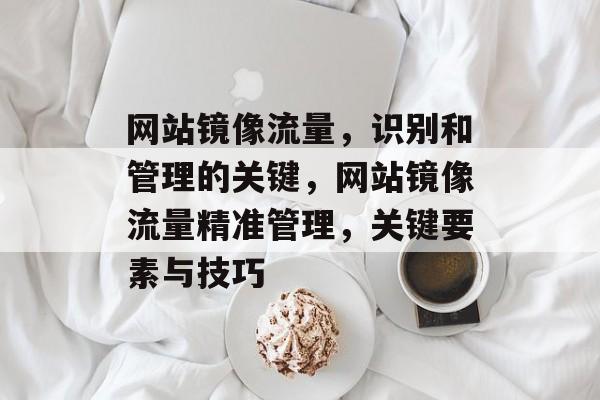网站镜像流量,识别和管理的关键,网站镜像流量精准管理,关键要素与技巧 网站镜像流量,识别和管理的关键,网站镜像流量精准管理,关键要素与技巧