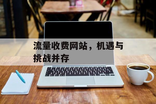 流量收费网站，机遇与挑战并存
