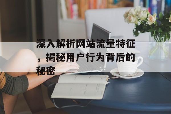 深入解析网站流量特征，揭秘用户行为背后的秘密