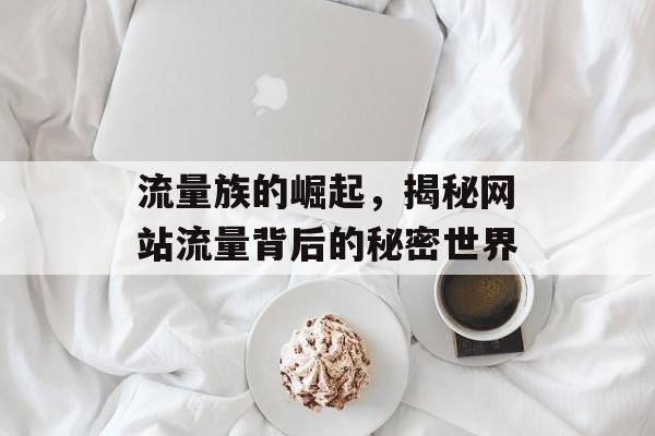 流量族的崛起，揭秘网站流量背后的秘密世界