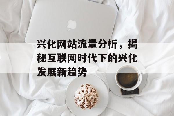 兴化网站流量分析，揭秘互联网时代下的兴化发展新趋势