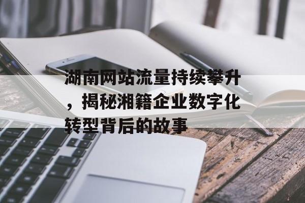 湖南网站流量持续攀升，揭秘湘籍企业数字化转型背后的故事
