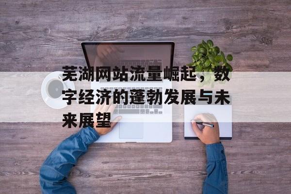 芜湖网站流量崛起，数字经济的蓬勃发展与未来展望