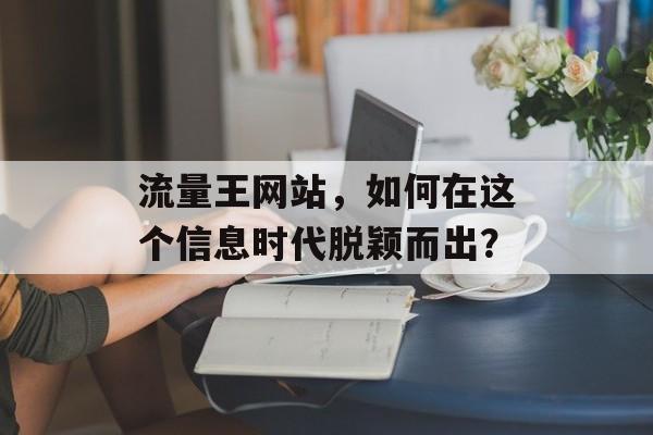 流量王网站,如何在这个信息时代脱颖而出? 流量王网站,如何在这个信息时代脱颖而出?