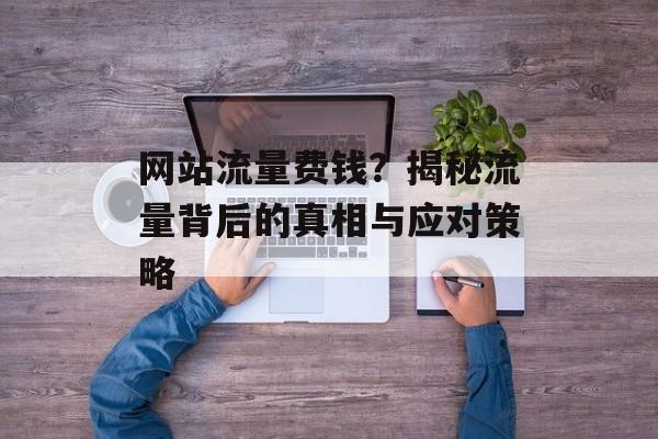 网站流量费钱?揭秘流量背后的真相与应对策略 网站流量费钱?揭秘流量背后的真相与应对策略