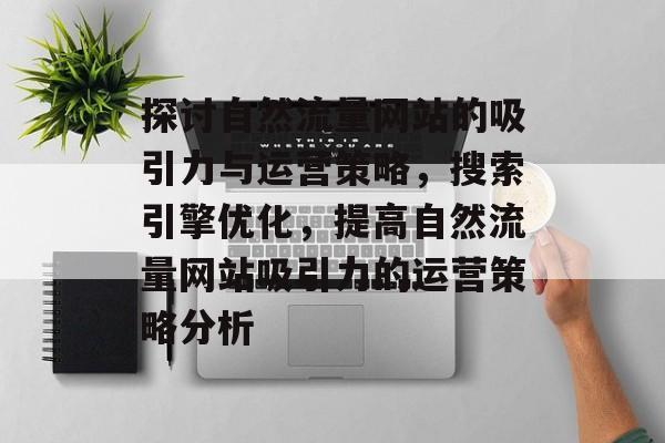 探讨自然流量网站的吸引力与运营策略，搜索引擎优化，提高自然流量网站吸引力的运营策略分析