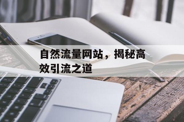 自然流量网站,揭秘高效引流之道 自然流量网站,揭秘高效引流之道