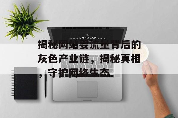 揭秘网站耍流量背后的灰色产业链,揭秘真相,守护网络生态 揭秘网站耍流量背后的灰色产业链,揭秘真相,守护网络生态