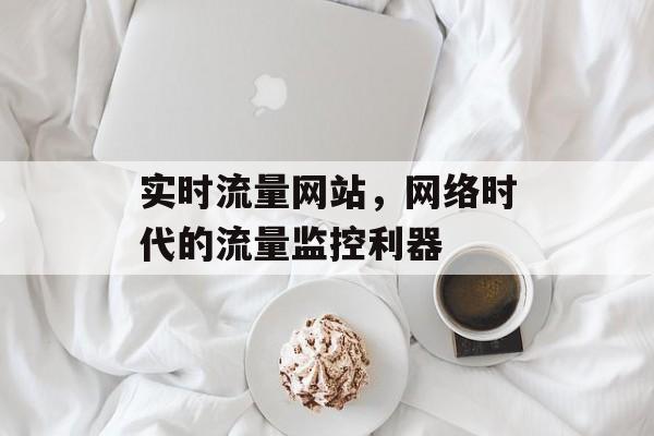 实时流量网站,网络时代的流量监控利器 实时流量网站,网络时代的流量监控利器