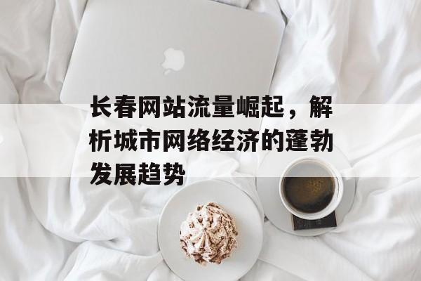 长春网站流量崛起，解析城市网络经济的蓬勃发展趋势