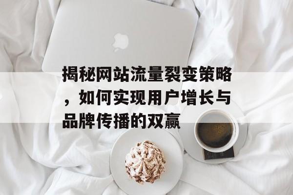 揭秘网站流量裂变策略,如何实现用户增长与品牌传播的双赢 揭秘网站流量裂变策略,如何实现用户增长与品牌传播的双赢