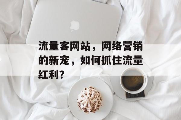 流量客网站,网络营销的新宠,如何抓住流量红利? 流量客网站,网络营销的新宠,如何抓住流量红利?