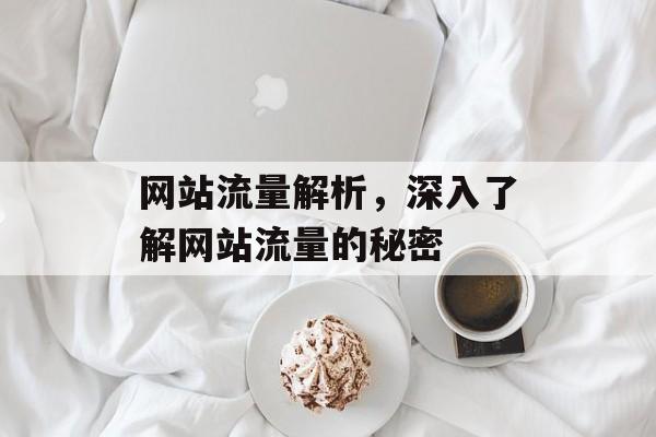 网站流量解析,深入了解网站流量的秘密 网站流量解析,深入了解网站流量的秘密