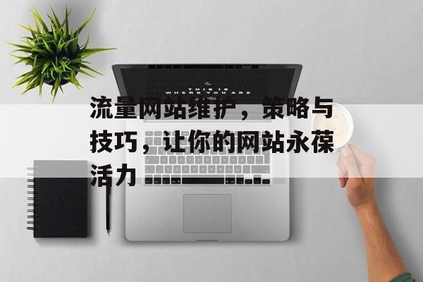 流量网站维护,策略与技巧,让你的网站永葆活力 流量网站维护,策略与技巧,让你的网站永葆活力