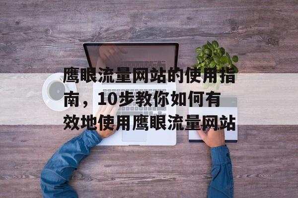鹰眼流量网站的使用指南,10步教你如何有效地使用鹰眼流量网站 鹰眼流量网站的使用指南,10步教你如何有效地使用鹰眼流量网站