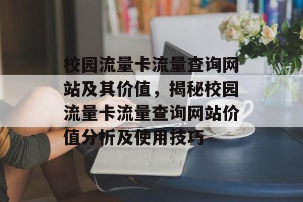 校园流量卡流量查询网站及其价值,揭秘校园流量卡流量查询网站价值分析及使用技巧 校园流量卡流量查询网站及其价值,揭秘校园流量卡流量查询网站价值分析及使用技巧