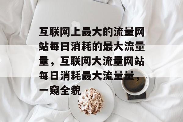 互联网上最大的流量网站每日消耗的最大流量量，互联网大流量网站每日消耗最大流量量，一窥全貌