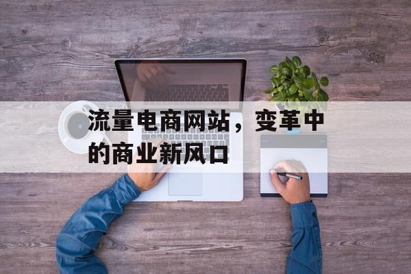 流量电商网站，变革中的商业新风口