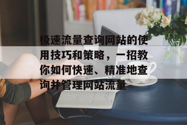 极速流量查询网站的使用技巧和策略,一招教你如何快速、精准地查询并管理网站流量 极速流量查询网站的使用技巧和策略,一招教你如何快速、精准地查询并管理网站流量