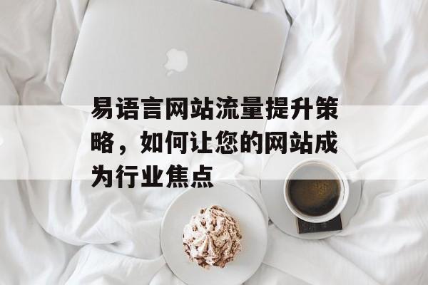 易语言网站流量提升策略，如何让您的网站成为行业焦点