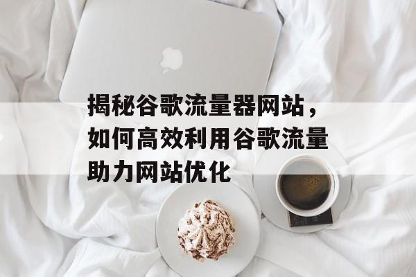 揭秘谷歌流量器网站,如何高效利用谷歌流量助力网站优化 揭秘谷歌流量器网站,如何高效利用谷歌流量助力网站优化