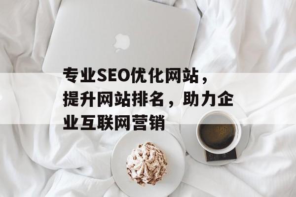 专业SEO优化网站，提升网站排名，助力企业互联网营销