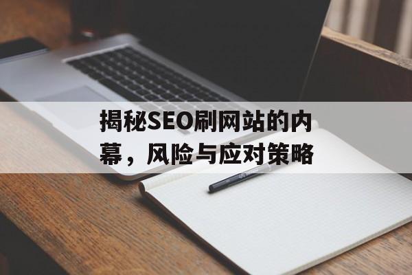 揭秘SEO刷网站的内幕，风险与应对策略