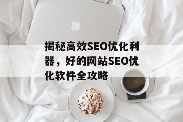 揭秘高效SEO优化利器，好的网站SEO优化软件全攻略