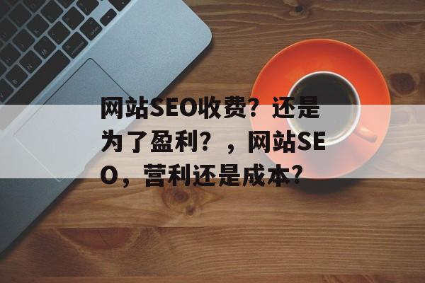网站SEO收费?还是为了盈利?,网站SEO,营利还是成本? 网站SEO收费?还是为了盈利?,网站SEO,营利还是成本?