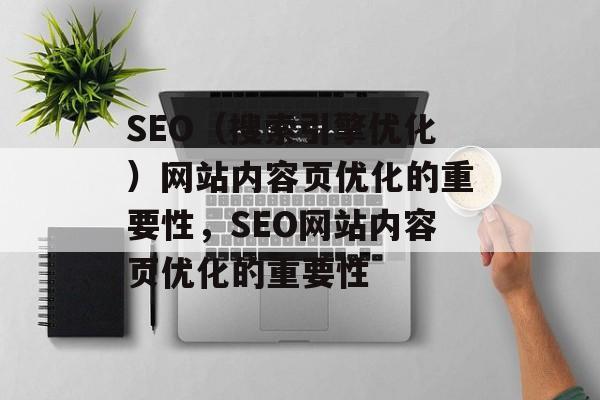 SEO（搜索引擎优化）网站内容页优化的重要性，SEO网站内容页优化的重要性