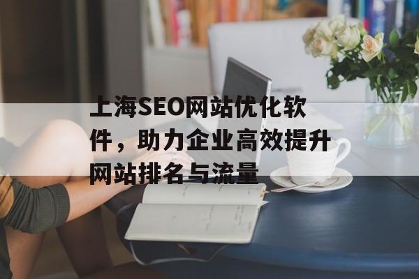 上海SEO网站优化软件，助力企业高效提升网站排名与流量