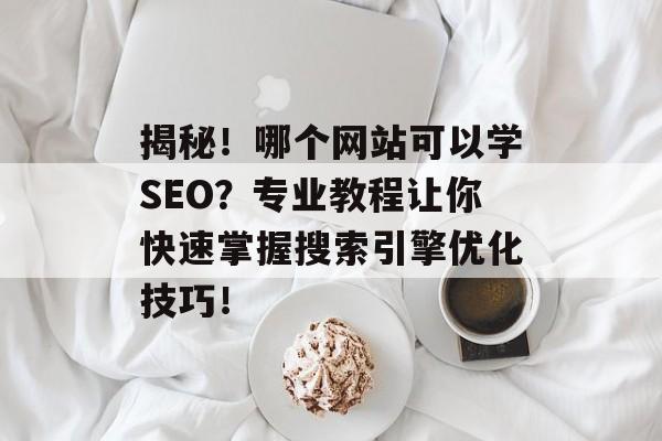 揭秘!哪个网站可以学SEO?专业教程让你快速掌握搜索引擎优化技巧! 揭秘!哪个网站可以学SEO?专业教程让你快速掌握搜索引擎优化技巧!