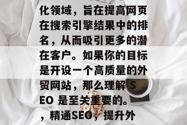 SEO 是一个网络优化领域,旨在提高网页在搜索引擎结果中的排名,从而吸引更多的潜在客户。如果你的目标是开设一个高质量的外贸网站,那么理解 SEO 是至关重要的。,精通SEO,提升外贸网站排名的关键技能 SEO 是一个网络优化领域,旨在提高网页在搜索引擎结果中的排名,从而吸引更多的潜在客户。如果你的目标是开设一个高质量的外贸网站,那么理解 SEO 是至关重要的。,精通SEO,提升外贸网站排名的关键技能