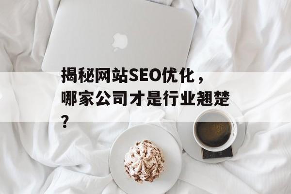 揭秘网站SEO优化,哪家公司才是行业翘楚? 揭秘网站SEO优化,哪家公司才是行业翘楚?