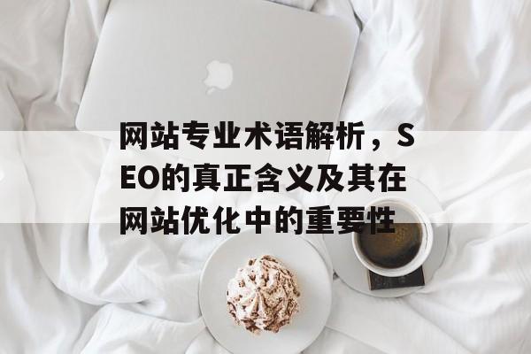 网站专业术语解析，SEO的真正含义及其在网站优化中的重要性