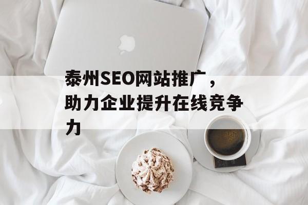 泰州SEO网站推广，助力企业提升在线竞争力