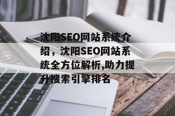 沈阳SEO网站系统介绍，沈阳SEO网站系统全方位解析,助力提升搜索引擎排名