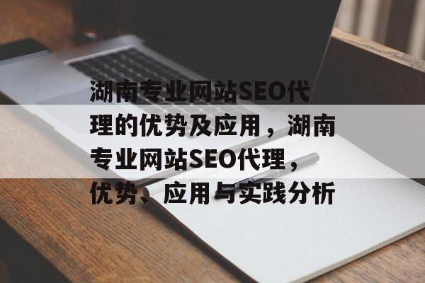 湖南专业网站SEO代理的优势及应用,湖南专业网站SEO代理,优势、应用与实践分析 湖南专业网站SEO代理的优势及应用,湖南专业网站SEO代理,优势、应用与实践分析