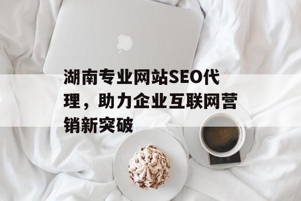 湖南专业网站SEO代理,助力企业互联网营销新突破 湖南专业网站SEO代理,助力企业互联网营销新突破