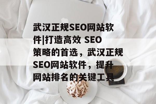 武汉正规SEO网站软件|打造高效 SEO策略的首选,武汉正规SEO网站软件,提升网站排名的关键工具 武汉正规SEO网站软件|打造高效 SEO策略的首选,武汉正规SEO网站软件,提升网站排名的关键工具