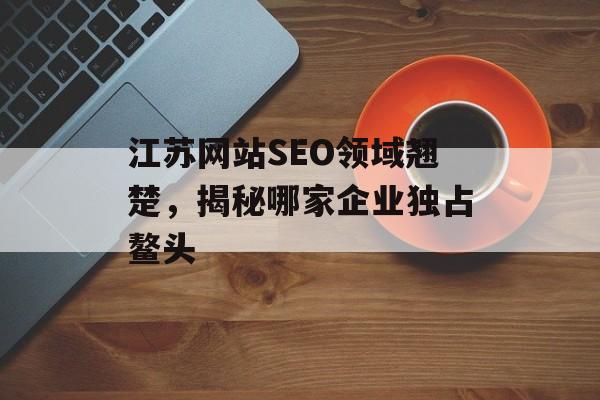江苏网站SEO领域翘楚，揭秘哪家企业独占鳌头