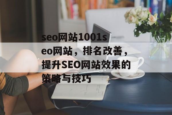 seo网站1001seo网站，排名改善，提升SEO网站效果的策略与技巧