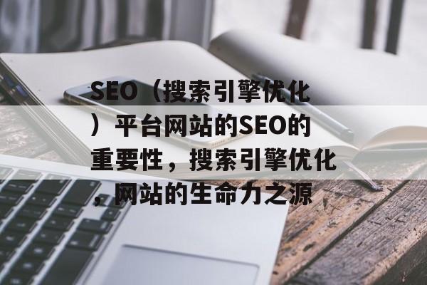 SEO(搜索引擎优化)平台网站的SEO的重要性,搜索引擎优化,网站的生命力之源 SEO(搜索引擎优化)平台网站的SEO的重要性,搜索引擎优化,网站的生命力之源
